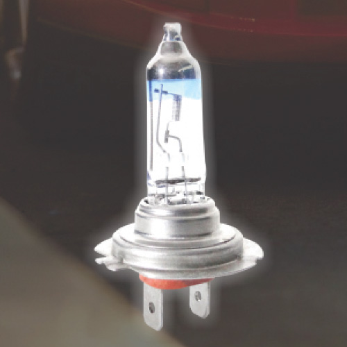 Range-of-Halogen-Nyt-Fighter